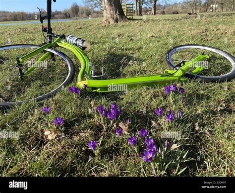 Kick Bike Hi Res Stock Photography And Images Alamy