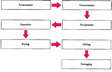 Xanthan Gum Production