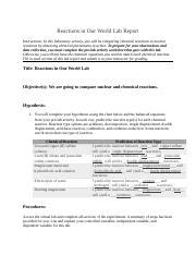 Chemistry 4 06 Lab Report Doc Reactions In Our World Lab Report