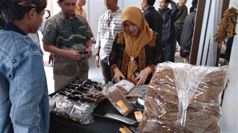 Festival Tembakau Sumedang Ekspose Potensi Tembakau Mole Dan