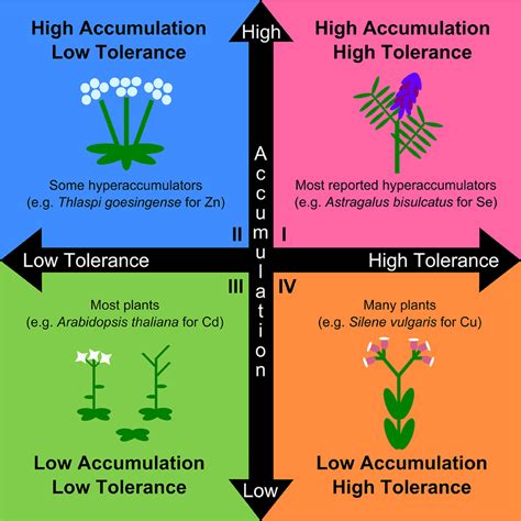 Frontiers Toward A More Physiologically And Evolutionarily Relevant