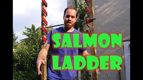 Homemade Salmon Ladder Made Cheaply Youtube