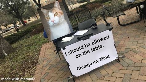 Cat Change My Mind Meme Meme By Trivinzelda Memedroid