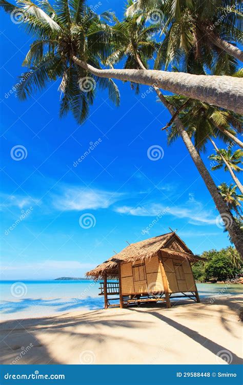 Reed Huts And Coconut Palms Stock Photo Image Of Straw Landscape