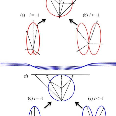 Pdf Symmetry‐protected Photonic Chiral Spin Textures By Spin Orbit Coupling