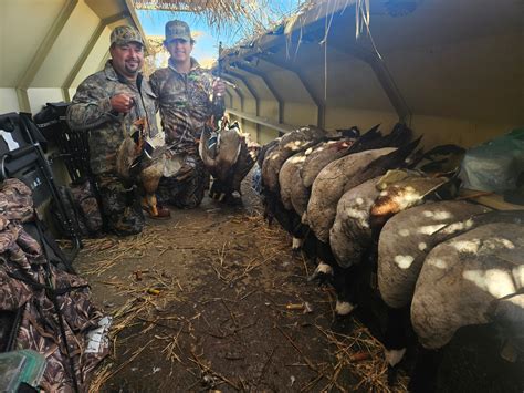 wisconsin goose hunting season 4