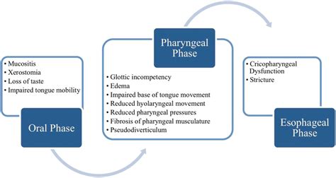 Swallowing Function After Treatment Of Laryngeal Cancer Otolaryngologic Clinics Of North America