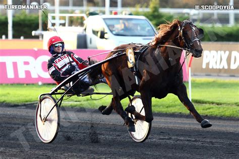 Coup Droit Cheval Retrouvez Toutes Les Performances De Coup Droit