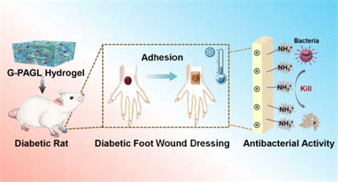 Novel Diabetic Foot Wound Dressing Based On Multifunctional Hydrogels With Extensive Temperature