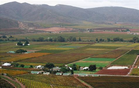 Anc Produktiewe Landbougrond Nie In Visier Vir Onteiening Landbou