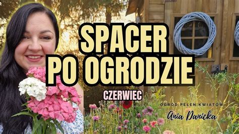 Spacer Po Ogrodzie Kwiat W Ci Tych Pokazuj Chabry Groszki Nagietki