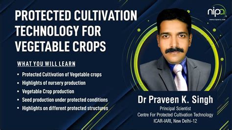 Protected Cultivation Technology For Vegetable Crops Youtube