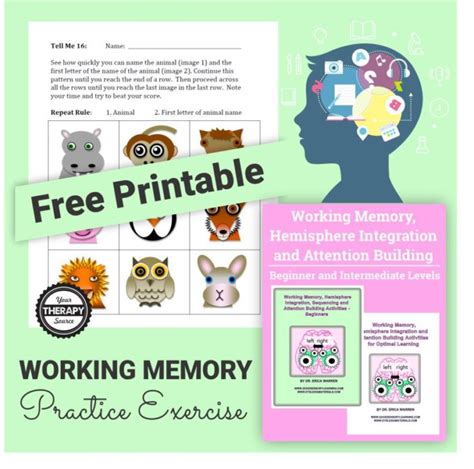 Working Memory Practice Exercise Your Therapy Source