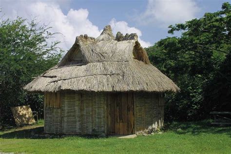 an old thatched hut in the middle of a grassy area with trees and bushes