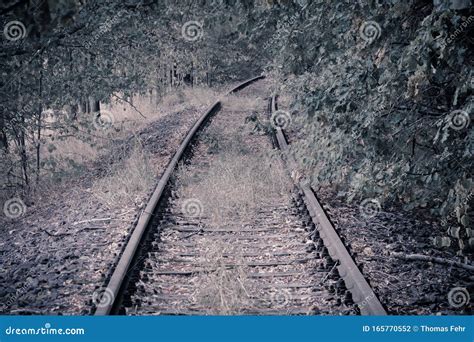 Unused Old Railway Tracks Stock Photo Image Of Iron