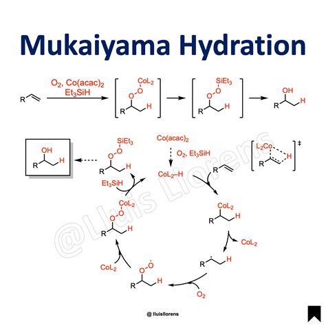 Mukaiyama Hydration - NROChemistry