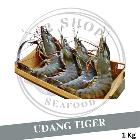 Jual Udang Tiger Udang Pancet Black Tiger Prawn Fresh Segar