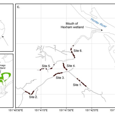 Map of the Hunter River estuary and the Hexham wetland system. Inset a ...
