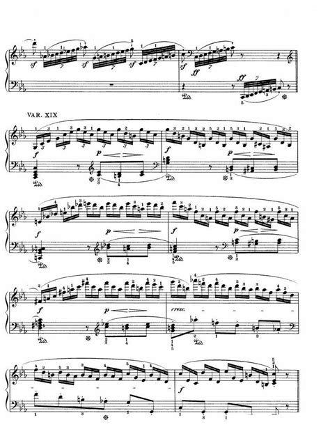 Beethoven WoO 80 32 Variations in C Minor 钢琴谱 简谱