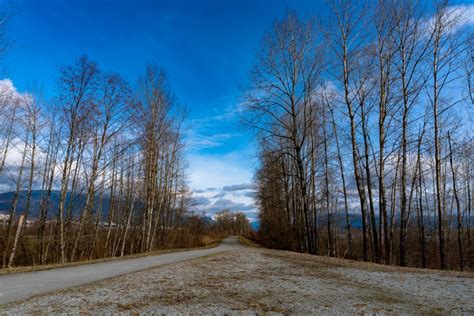 Bildet Landskap Tre Natur Skog Gress Lita Elv Bekk Villmark