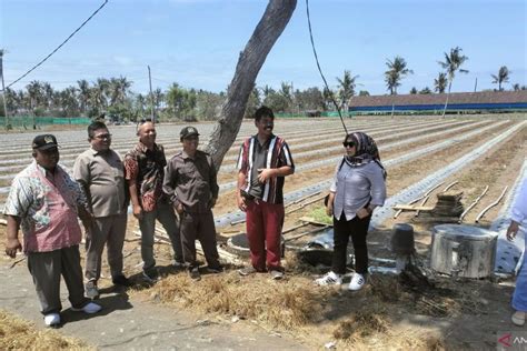 Dprd Kulon Progo Minta Dinas Membangun Jalan Usaha Tani Lahan Pasir