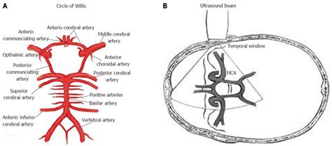 Transcranial Doppler Ultrasonography From Methodology To Major