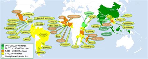 Plantations International Jatropha Biofuel