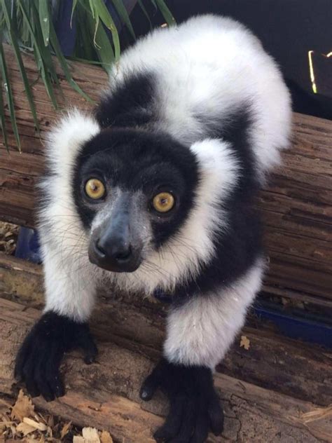 Local readers are praising record and landmark newspaper statesville nc 8