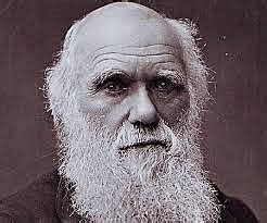 Biografia De La Vida De Darwin Timeline Timetoast Timelines