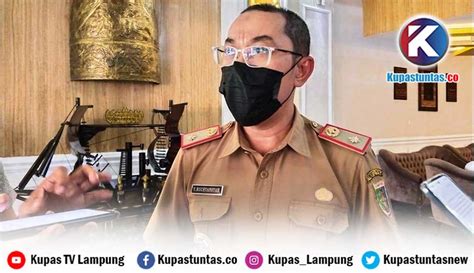 Kupas Tuntas Hingga November 6 122 Hektare Lahan Di Lampung Terbakar