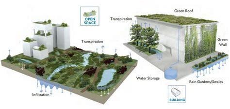 Ecological Analysis Of Natural Systems Image Source Nature Based