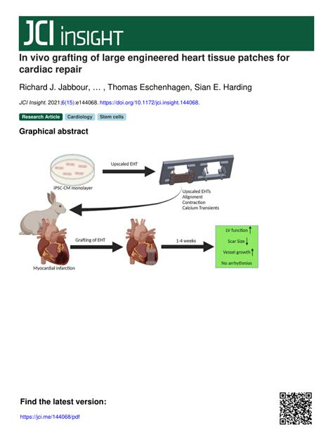 PDF In Vivo Grafting Of Large Engineered Heart Tissue Patches For