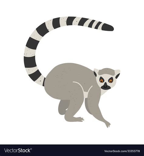 Cute Funny Lemur On An Isolated White Background Vector Image