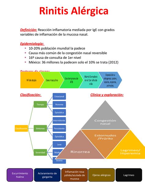 Rinitis Al Rgica Apuntes Para Enarm Clasificaci N Tiempo Estacional