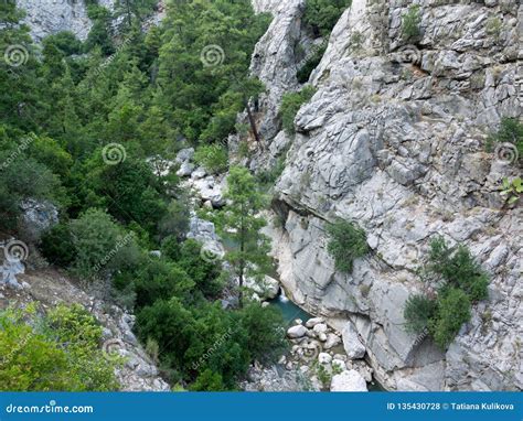 Antalya Goynuk Canyon Beautiful River In National Reserve Stock Photo