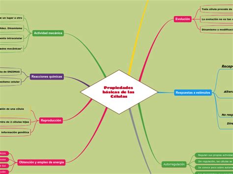 Propiedades B Sicas De Las C Lulas Mind Map