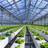 Hydroponics Farm Business Plan Template Updated Page Of