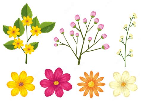 Un Conjunto De Flores Hermosas Vector Premium