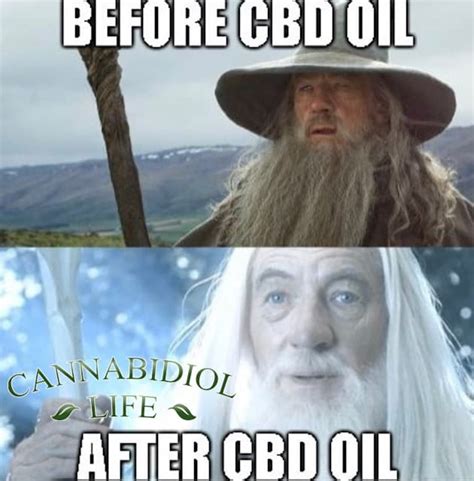 100 Best Cbd Memes Cannabidiol Life