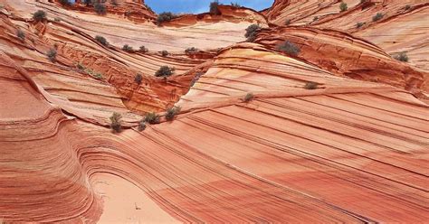 Sandstone Curves And Layers Coyote Photograph By Photograph By Michael