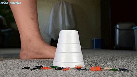 Custom 2 Latina Milf S Crush A Thon Part 4 MOV Amateur Soles Giantess And Footjobs