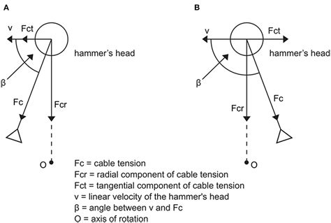 Frontiers Biomechanics Of The Hammer Throw Narrative Review