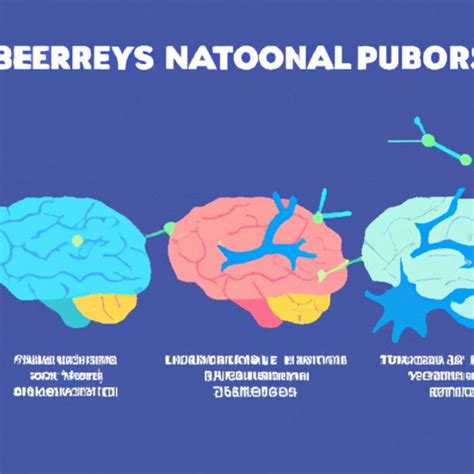 Understanding Neuroplasticity What Is It And How Does It Work The