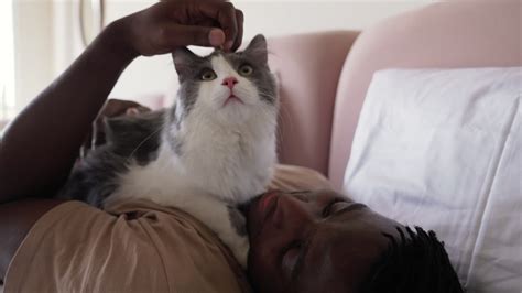 Free stock video - Pet owner with his cat on bed