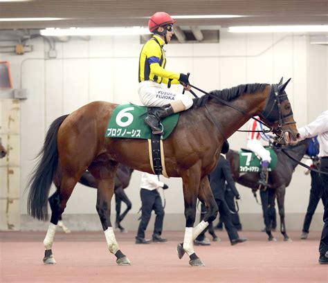 【中日新聞杯】1番人気プログノーシスは首、首、鼻差の4着 藤岡佑介騎手「届かなかった」 スポーツ報知