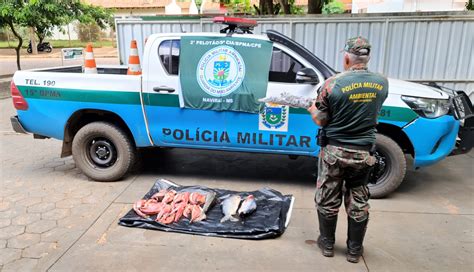 Polícia Militar Ambiental de Naviraí autua dois infratores em R 2 8