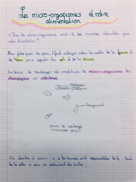 Les Besoins Variables En Aliments De L Tre Humain Cycle