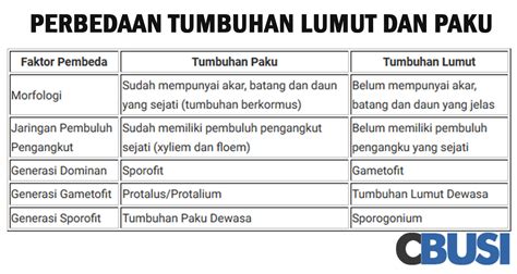 Tabel Perbedaan Lumut Dan Paku Hot Sex Picture