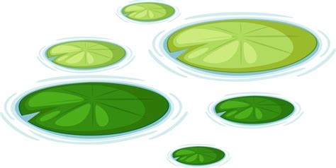 Water Lily Pads Royalty Free Vector Image Vectorstock