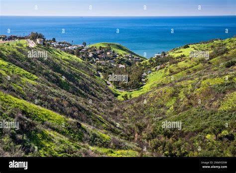 Corral Canyon Pacific Ocean March 2019 After Woolsey Fire Of Nov